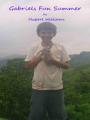 cover image of Gabe's Fun Summer